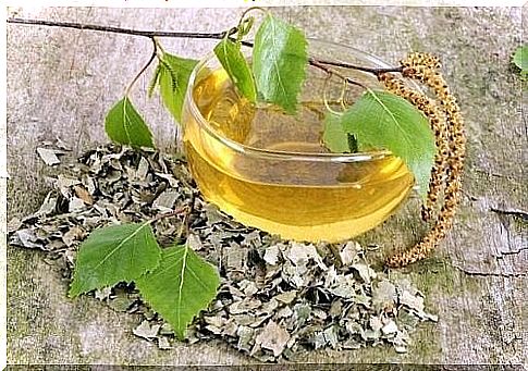 birch tea for the treatment of cystitis