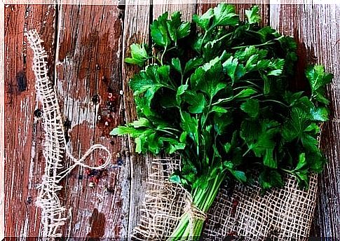 parsley for the treatment of cystitis