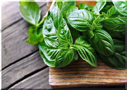 try to treat heartburn with basil