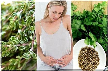 6 herbs to expel flatulence