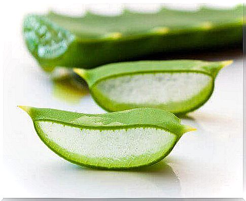 Aloe Vera is a suitable treatment for swollen feet