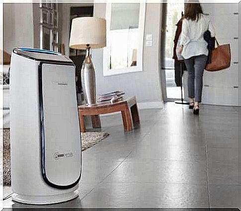 The air purifier helps against pollen and allergies