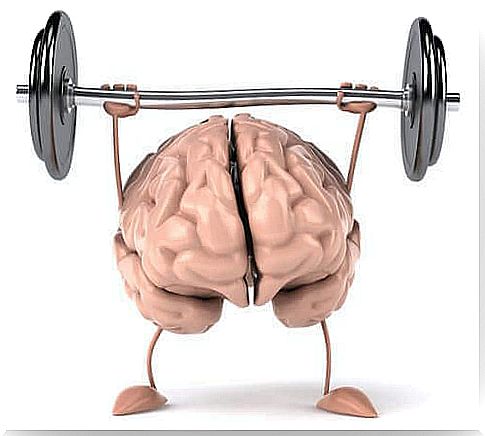 The brain lifts weights.