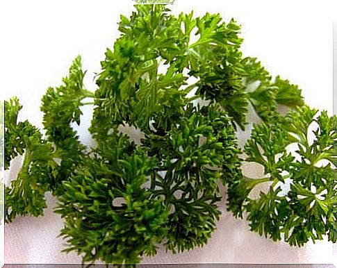 Parsley drink for cholesterol control and fat burning