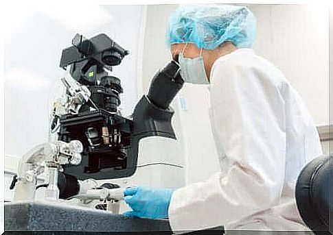 Embryo diagnostics