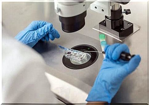 embryo diagnostics in the laboratory