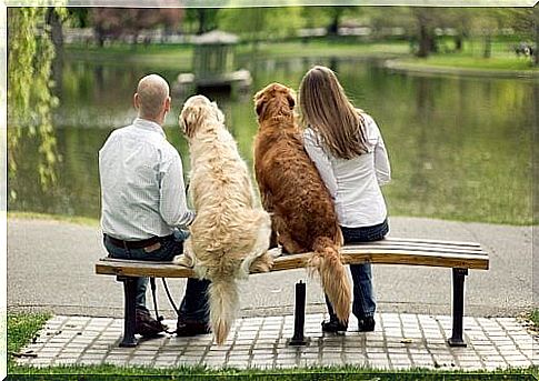 couple and their dogs