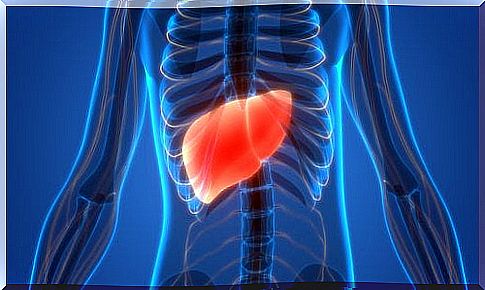 Foods harmful to the liver: 8 factors to avoid