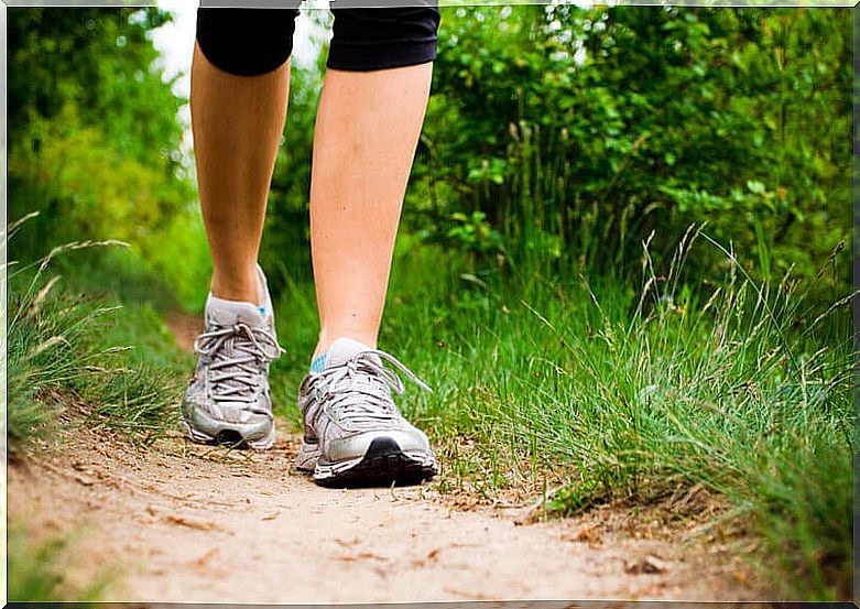 walking improves kidney function