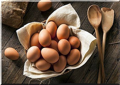 healthy egg fats