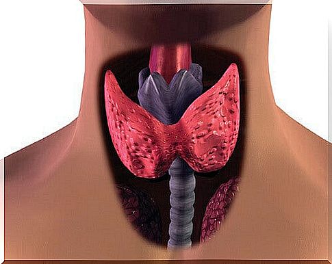 Help with hypothyroidism