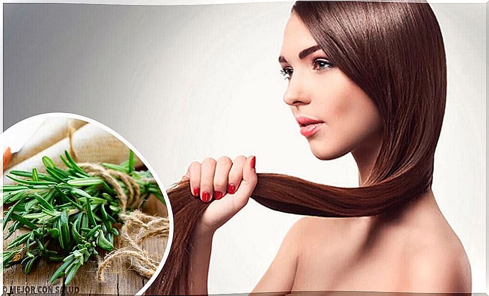 Herbs and spices to promote hair growth