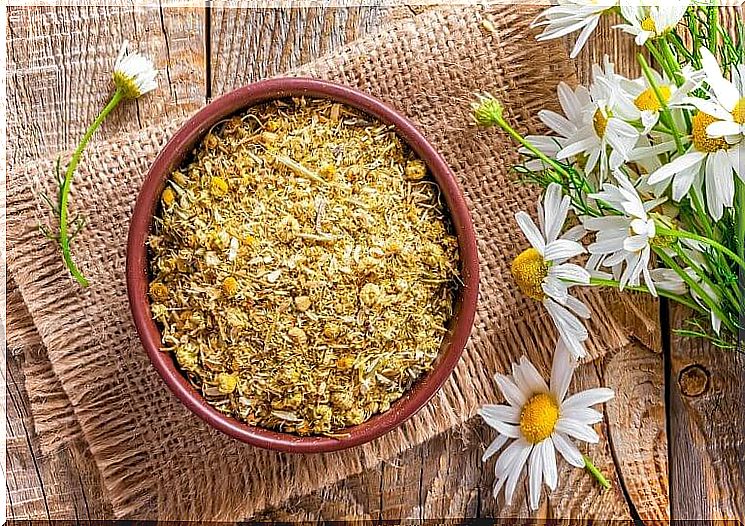 Chamomile helps promote hair growth