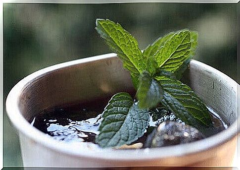 mint tea for digestion