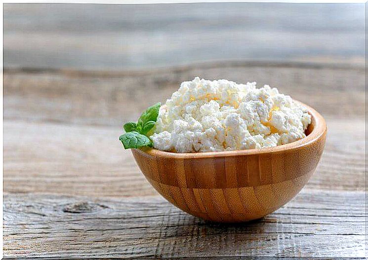 increase muscle mass by eating cottage cheese