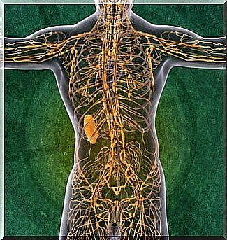 Lymphatic System: Four Interesting Facts to Know