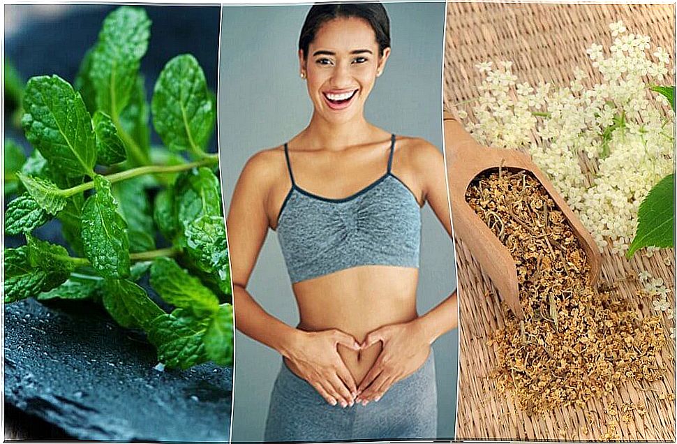 Take care of digestion with 6 healing plants