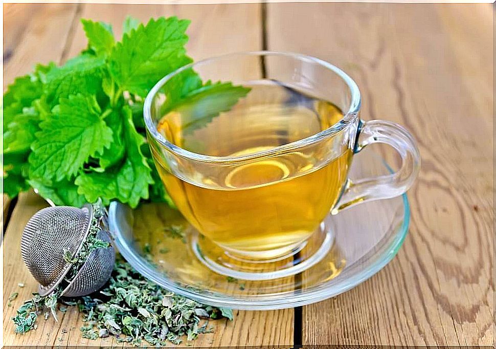 take care of digestion by enjoying lemon balm rain