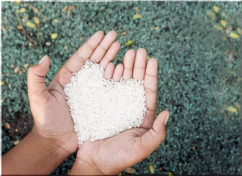 rice in the palms