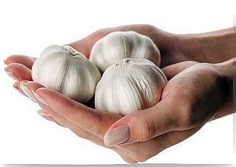 Garlic helps relieve toothache