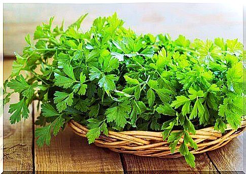 Chewing parsley helps relieve toothache