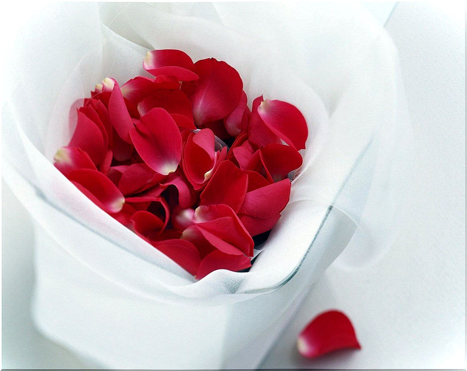 refresh your eyes with rose petals 