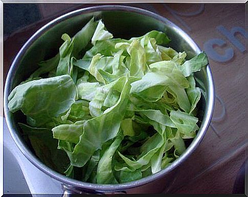 cabbage in a saucepan