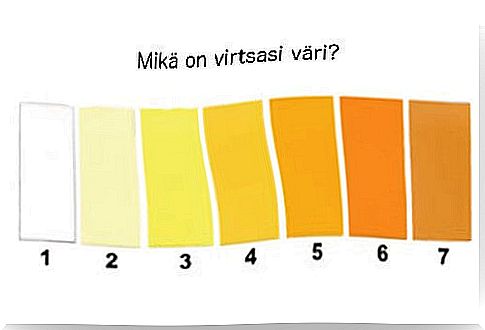 The color of the urine indicates the state of health of the body